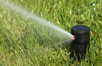 Sprinklers on too long but how do you know when to stop?