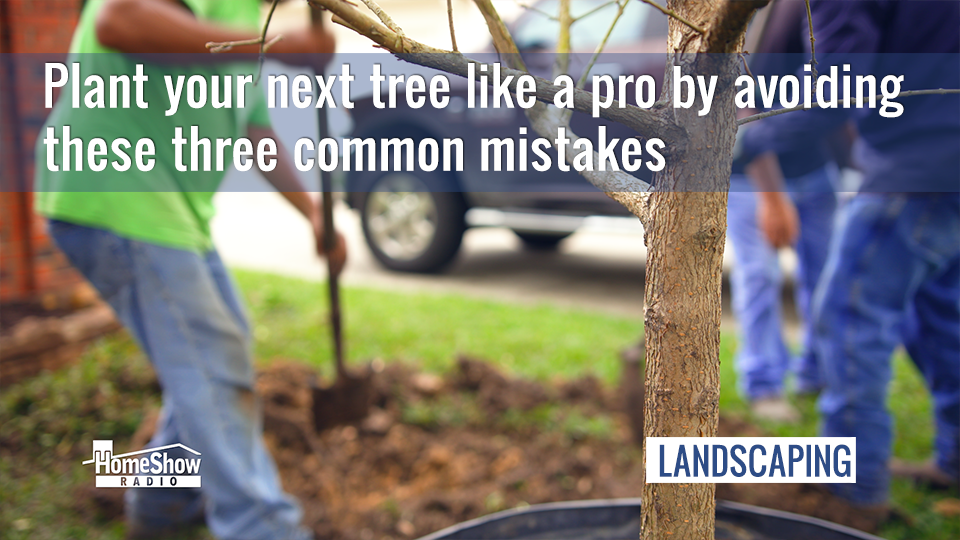 Tree planting tips from RCW Nurseries