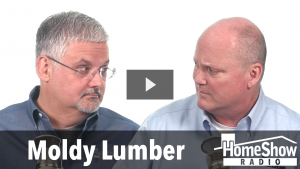 Moldy Lumber