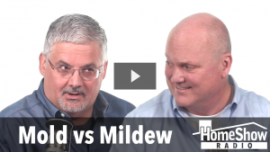 Mold vs Mildew