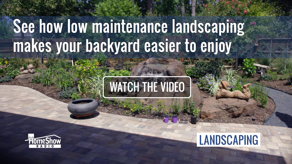 Low maintenance landscaping
