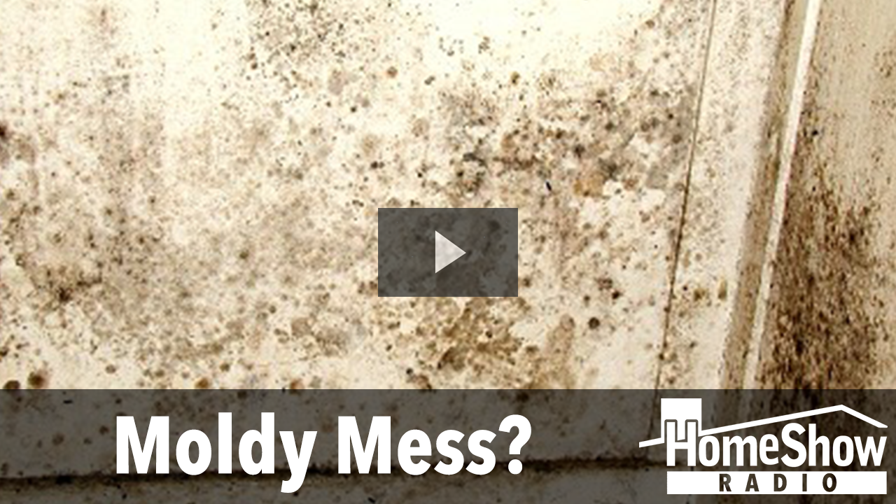 When should I worry about mold in my home? HomeShow Radio Show Tom