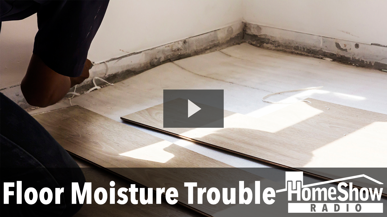 Where could water be coming from if not from a plumbing leak