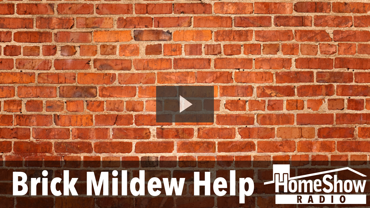 What can I do about mildew growing on my brick atrium? HomeShow Radio