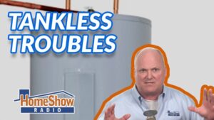 Should we replace or repair an aging tankless water heater?