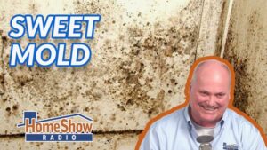 Could too-tight construction cause mold growth?