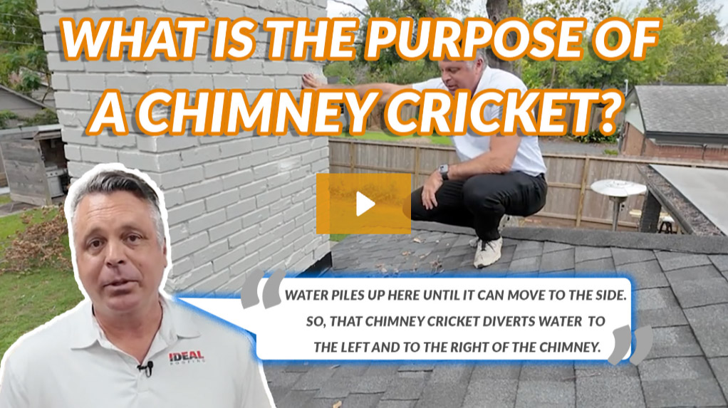 What Is The Purpose Of The Chimney Cricket?