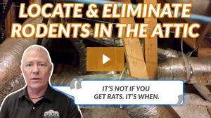 Locate & Eliminate Rodents In The Attic
