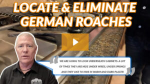 Locate & ElimInate German Roaches - McGrath Pest Control Services