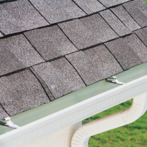 Gutter Cleaning